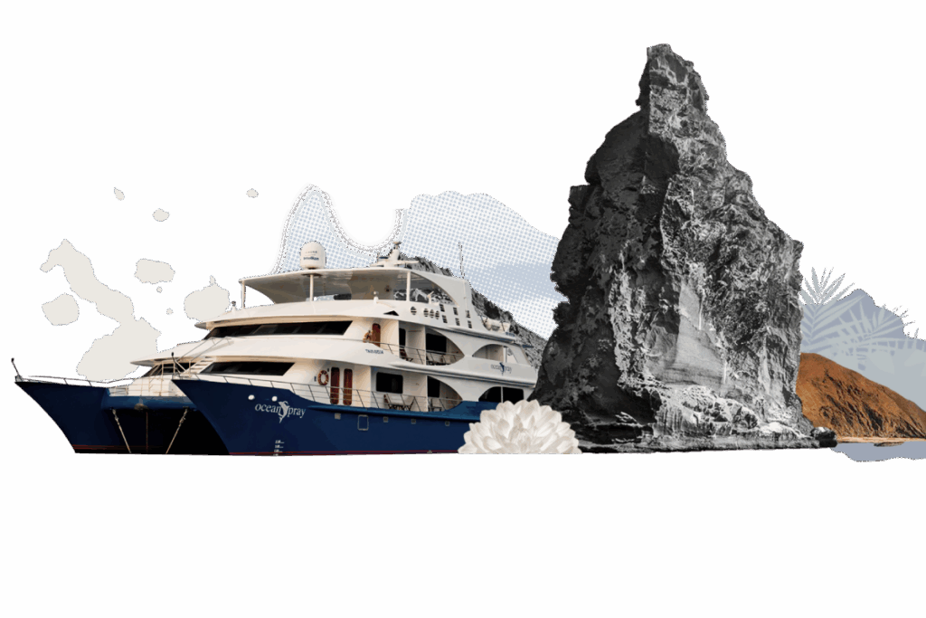 - golden experiences and travel in ecuador illustration