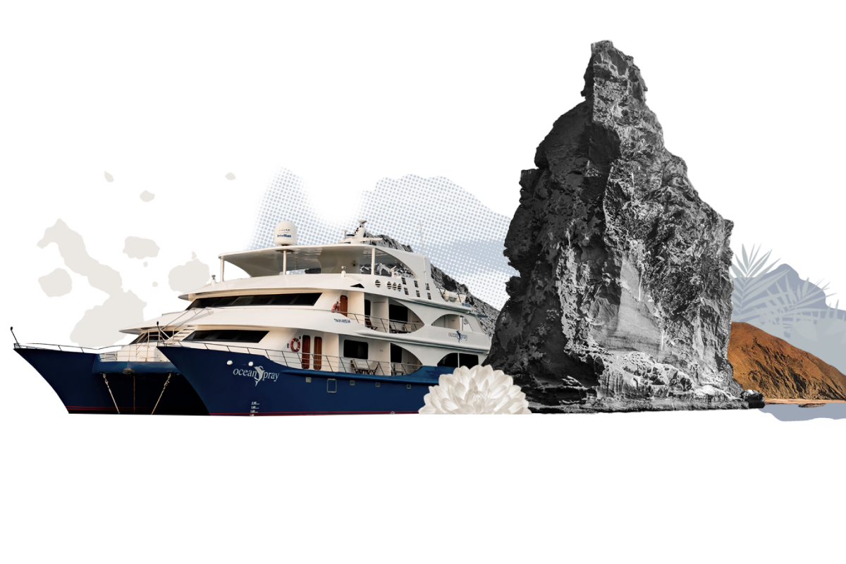 - golden experiences and travel in ecuador illustration